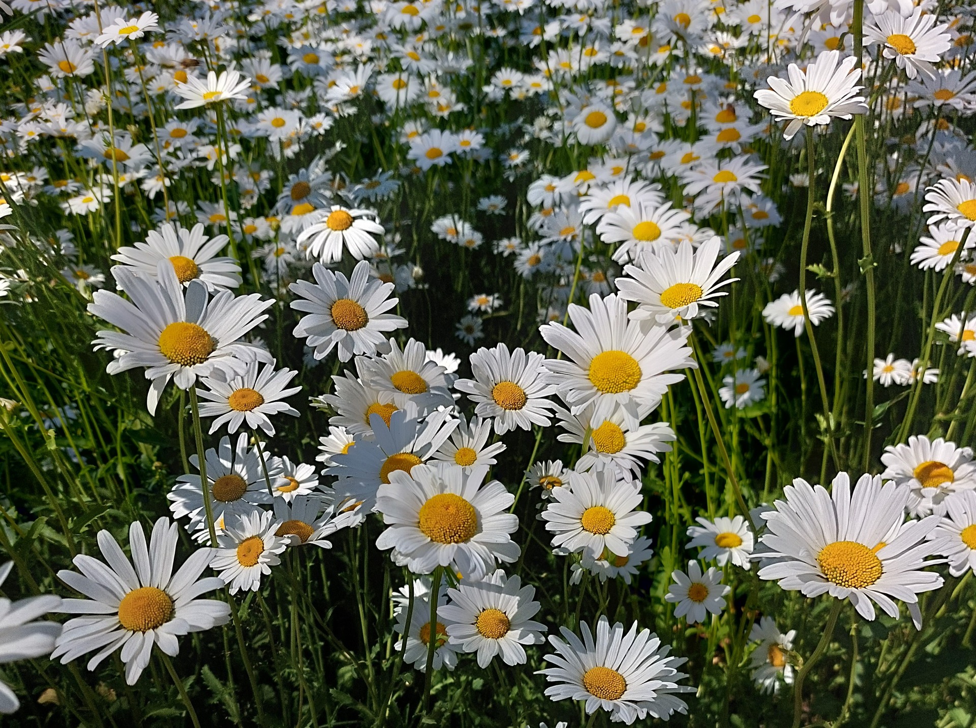 Kurssit ja työpajat